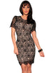 Black Embroidered Lace Nude Illusion Bodycon Dress