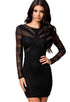 Black Lace&Mesh Patchwork Sexy Bodycon Dress