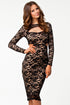 Classic Beauty Hollow out Lace Overlay Vintage Dress