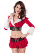Holiday Pleasure Costume