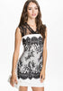 Monochrome Lace Decorative Bodycon Vintage Dress