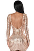 Rose Nude Open Back Long Sleeve Sequin Dress