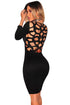 Sexy Black Hollow-out Back Long Sleeve Bodycon Dress