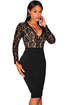 Sexy Black Lace Nude Illusion Long Sleeves Dress