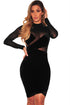 Sexy Black Mesh Asymmetrical Velvet Mock Neck Dress