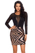 Sexy Black Sheer Mesh Long Sleeve Club Dress