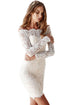 Sexy Bodycon Off-shoulder Long Sleeve Lace Dress