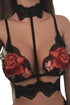Sexy Lace Embroidered Appliques Floral Bralette with Choker