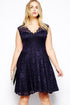 Sexy Navy Blue Scalloped V-neck Lace Plus Size Skater Dress