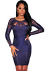Sexy Royal Blue Lace Nude Illusion Long Sleeves Bodycon Dress