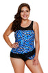 Sexy Seaglass Mirage Asymmetric Mesh Detail Tankini Swimsuit