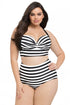 Sexy Striped Print Curvy High Waist Bikini Swimsuit