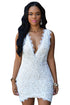 Sexy White Plunge V Neck Lace Crochet Mini Dress