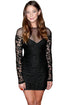 Stylish Floral Dot Netted Long Sleeved Mini Dress