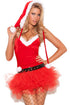 Xmas Miss Santa's Sweetie Costume