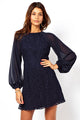 Lace Vintage Dress with Blouson Sleeves