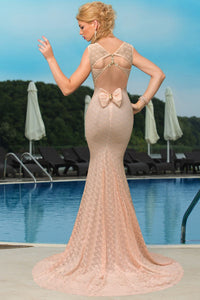 Deluxe Mermaid Style Lace Hollow outs Maxi Evening Dress