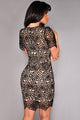 Black Embroidered Lace Nude Illusion Bodycon Dress