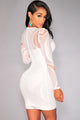 White Lace Nude Illusion Long Sleeves Bodycon Dress