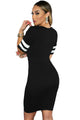 Black Stripes Sleeves Slim Fit Dress