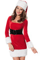 Mrs Santa Claus Dress Costume 2pcs