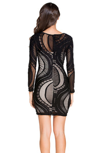 Black Lace Nude Illusion Long Sleeves Bodycon Dress