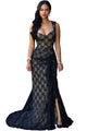 Black Lace Nude Illusion Ruched Gown