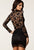 Black Scalloped V Neck Lace Vintage Dress
