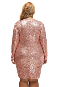 Champagne Sequin Plus Size Long Sleeve Dress