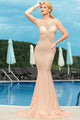 Deluxe Mermaid Style Lace Hollow outs Maxi Evening Dress