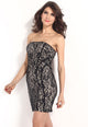 Graceful Women Bandeau Lace Bodycon Dress