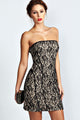 Graceful Women Bandeau Lace Bodycon Dress