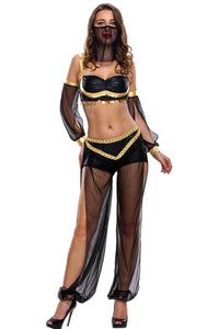 Hot Sexy 4pcs Belly Dancer Costume