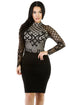 Long Sleeves Mesh Romances Dress