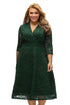 Olive Plus Size Surplice Lace Formal Skater Dress