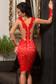 Red Lace Applique Nude Illusion Long Sleeve Dress