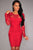 Red Lace Nude Illusion Long Sleeves Bodycon Dress