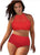 Red Patterned Mesh Insert Plus Size Swimwear