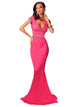 Rosy Lace Embellished Mermaid Evening Dresses