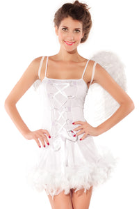Sexy Adult Sexy Angel Costume
