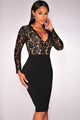 Sexy Black Lace Nude Illusion Long Sleeves Dress