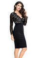 Sexy Black Lace Nude Illusion Long Sleeves Dress