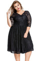 Sexy Black Lace V Neck Curvy Skater Dress