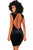 Sexy Black Mesh Bustier Velvet Mock Neck Dress
