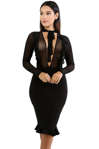 Sexy Black Sheer Mesh Insert Ruffle Trim Bodycon Dress