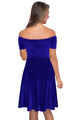 Sexy Blue Velvet Off Shoulder Pleated  Skater Dress