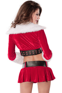 Sexy Holiday Pleasure Costume