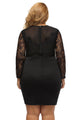 Sexy Long Sleeve Lace Top Plus Size Dress