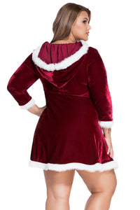Sexy Plus Size Sexy Santa Christmas Costume