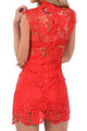 Sexy Red Lace Hollow-out Mini Vintage Dress